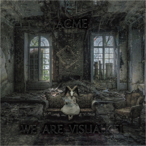 We Are Visual Kei